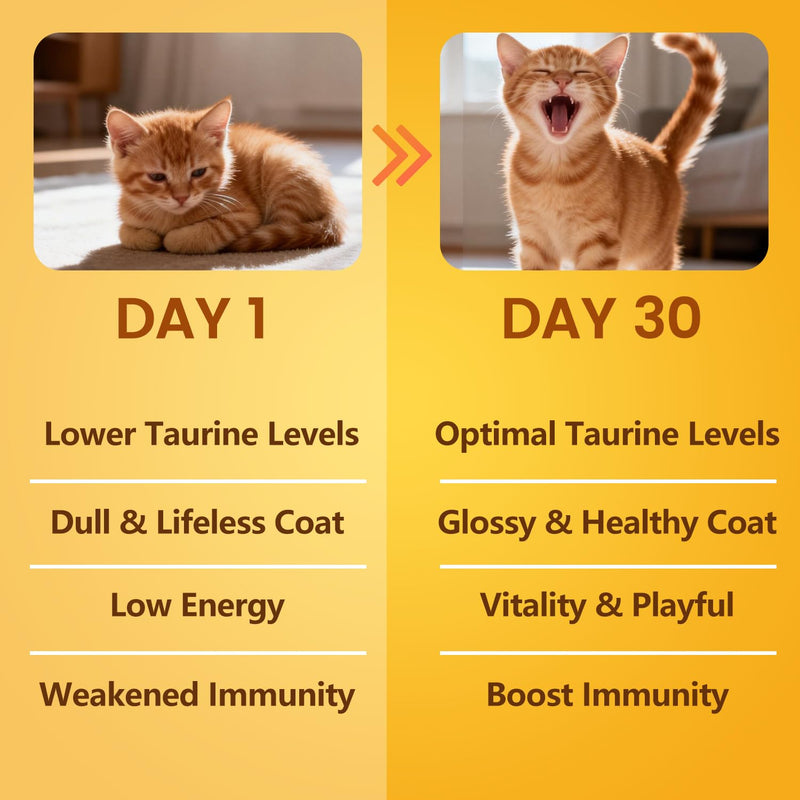 Pure Taurine for Cats Taurine Powder Supplement for Kitty Supports Vitality and Immune Health 200 Grams