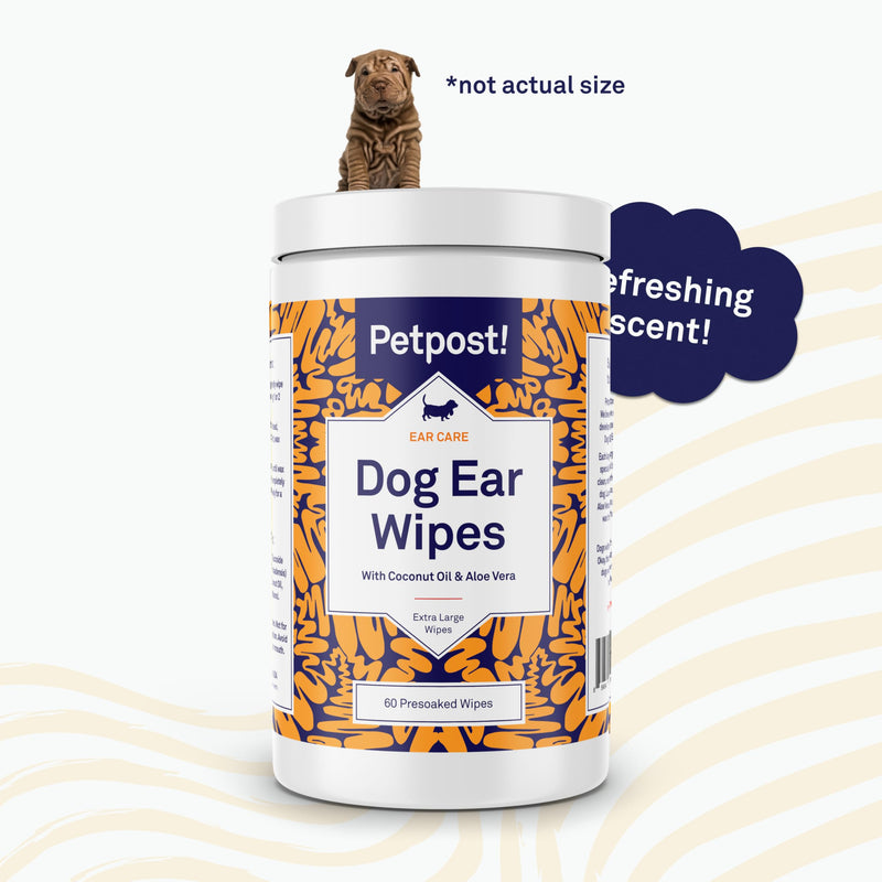 Petpost | Large Dog Ear Cleaner Wipes - Ultra Soft XL Cotton Pads in Coconut Oil Aloe Solution - Remedy for Dog Ear Rinse & Cleanser 60 ct. - PawsPlanet Australia