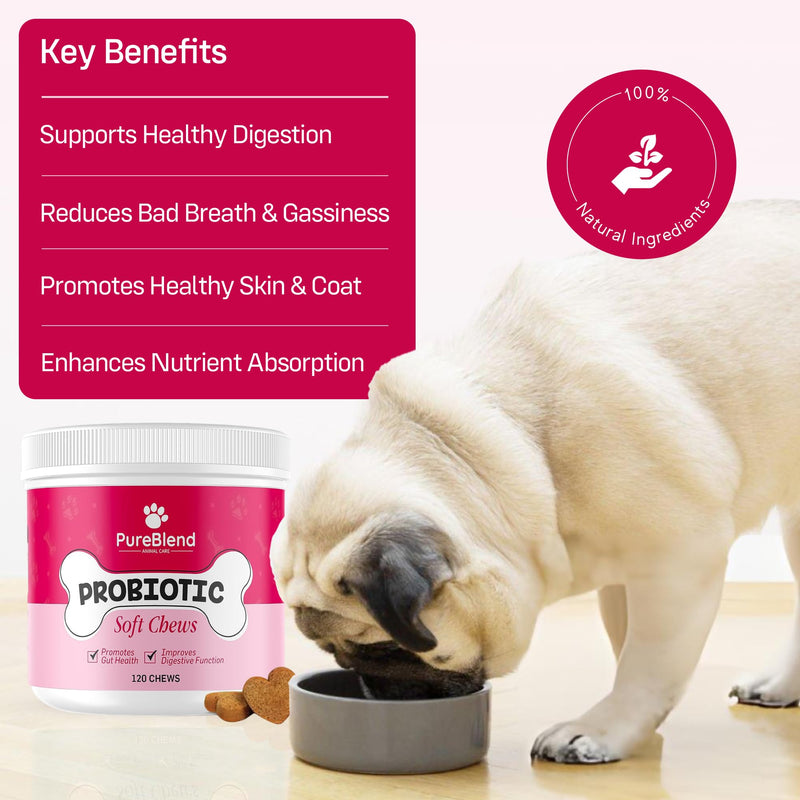 PureBlend Probiotic Soft Chews for Dogs — Dog Gut Health Supplement with Pumpkin, Prebiotics, Enzymes & Vitamins — 120 Chews, Up to 4 Month Supply