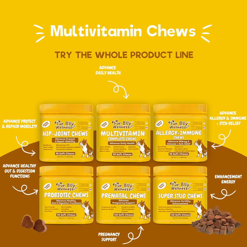 Daily Dog Multivitamin, Chewable Dog Vitamins and Supplements for Hip & Joints, Skin & Coat, Probiotics & Omega 3 Fish Oil for Dogs - Senior & Puppy Multivitamin - 90 Chews