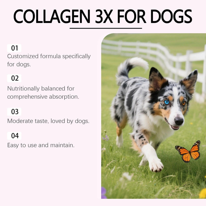Collagen for Dogs, Liquid Dog Collagen Drops, Fast Absorption Supplement for Joint, Skin, Coat & Digestion Support, 60ml