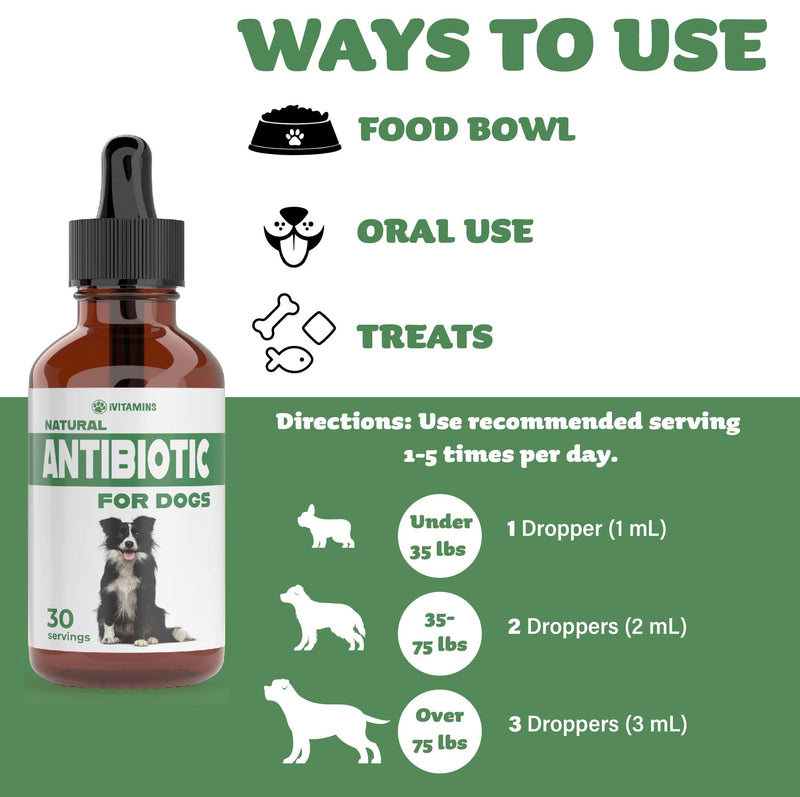 Natural Dog Antibiotics - Antibiotics for Dogs - Antibiotic for Dog - Yeast Infection Treatment for Dogs - Dog Yeast Infection Treatment - Itch Relief for Dogs - 1 fl oz - Bacon Flavor - PawsPlanet Australia