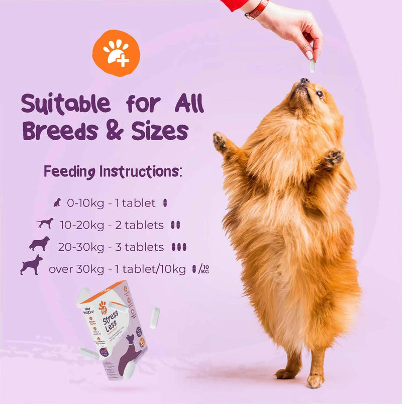 Stress Less Calming Chews - soft chew treat supplement for dogs and cats - help keep pets calm and anxiety & stress free during fireworks, Christmas, periods of separation - 60 chews per jar