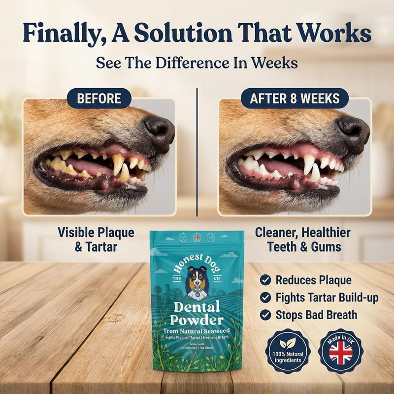 Honest Dog Co. Dental Powder for Dogs - Easy Seaweed Food Topper for Fresh Breath, Plaque & Tartar Removal | Natural Teeth Cleaning & Gum Health | Made in UK | 120g (up to 60 servings)