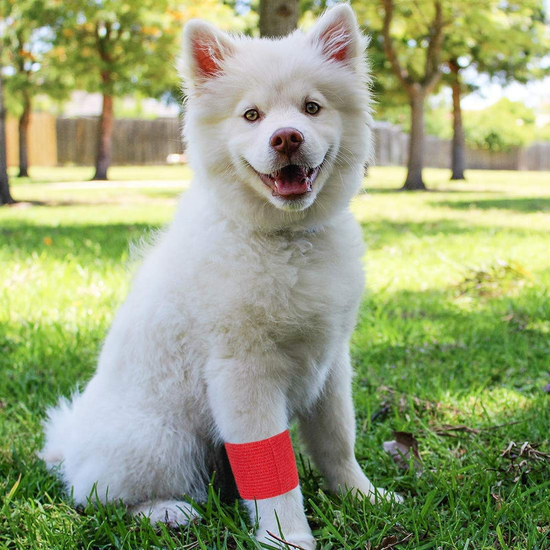 GSPCARE Animal Bandage Self-Adhesive 5 cm x 4.5 m, 6 Rolls Self-Adhesive Bandage Elastic Cohesive Bandage, Adhesive Bandage for Swelling of Ankle Sprains on Wrist Printed - BeesActive Australia