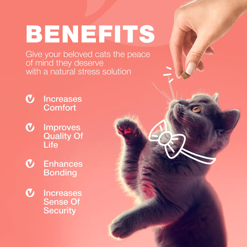 Flea Treatment for Cats - Daily Oral Cat Flea and Tick Treatment Chews - Chewable Kitten Flea Treatment - Soft Treats for All Breeds & Ages - Natural Chicken-Flavor Flea and Tick Supplement for Cats 140 count - BeesActive Australia