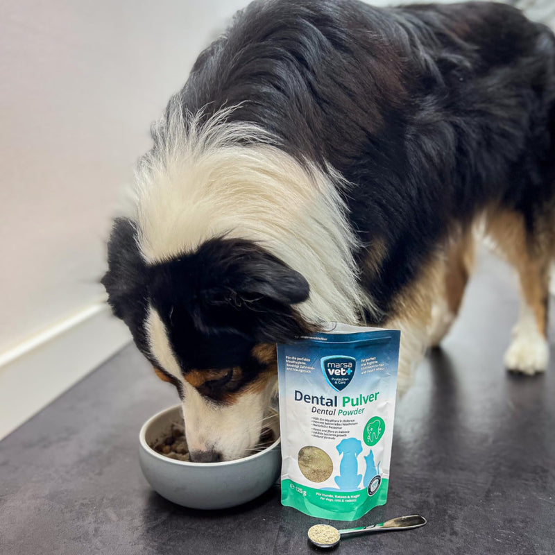 Marsavet Dental Powder - Dental Care for Dogs, Cats, Rodents with Insect Protein, Stress Free, Dog Toothbrush and Toothpaste, Eliminates Tartar, Plaque, Mouth Odour - 125g
