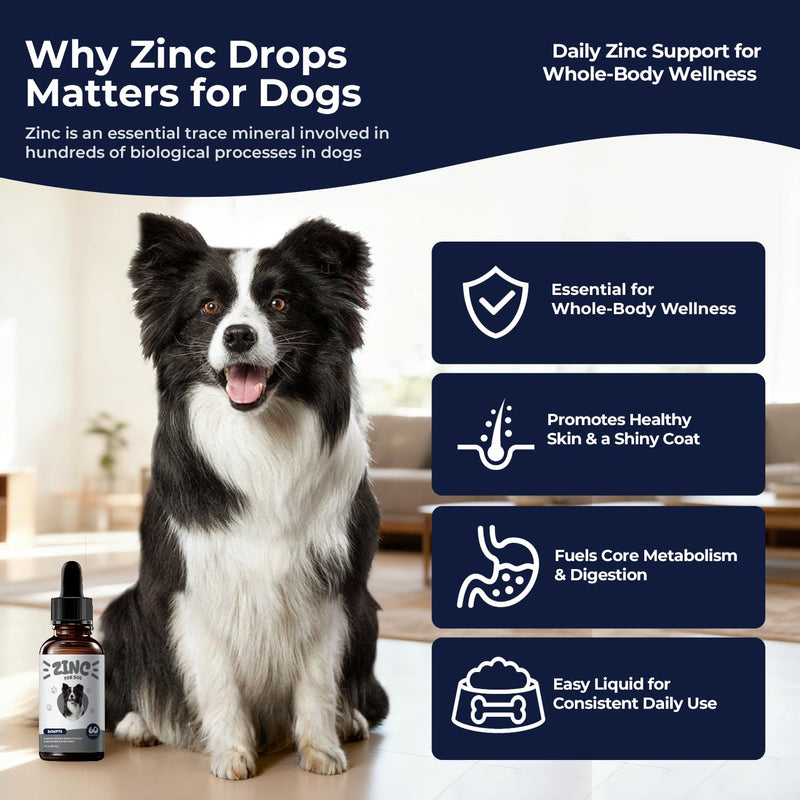 Zinc Drops for Dogs – Daily Mineral Support for Immune Balance & Skin Health, Liquid Zinc Supplement, Easy to Mix, Bacon Flavor, 2 fl oz (60 mL)