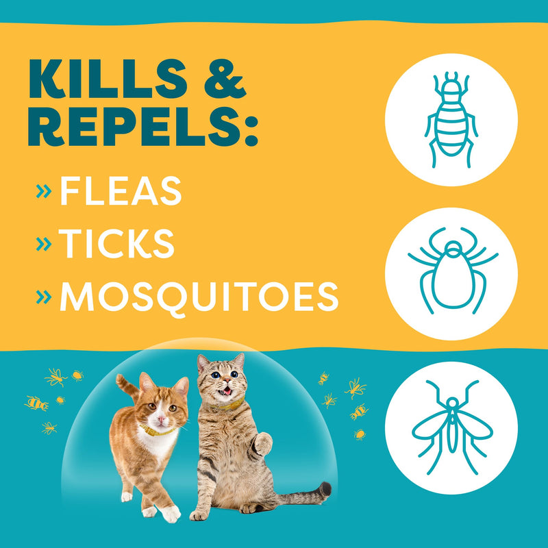 Only Natural Pet EasyDefense Flea & Tick Cat Collar - Feline Flea Collars Biting Insect Control - Pet Care That Protects up to 4 Months - for Cats (Single) Single - BeesActive Australia