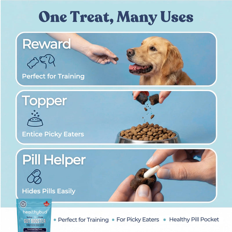 healthybud Turkey Dog Probiotic Chews - Gut Health Support - Prebiotic, Fiber & Vitamin, Puppy Liver Bites for Sensitive Stomach, Dog Stool Hardener (4.6oz per Pack 2-Pack) 4.6oz 2-Pack