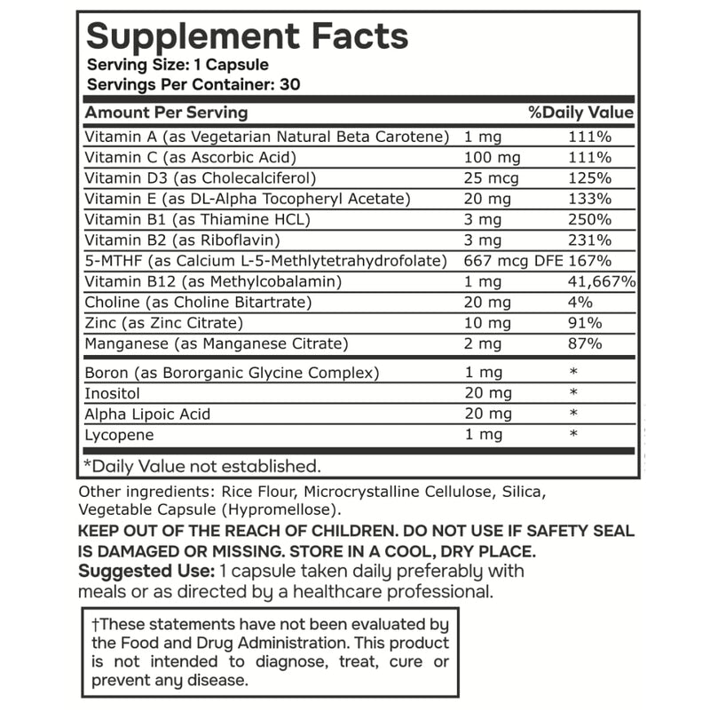 envitamin Methylated Multivitamin Multimineral Complex L Methylfolate 2 Pack 60 Count (Pack of 1) Methylated 2 Pack