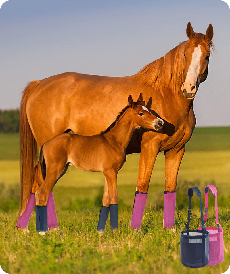 Horse Feed Bag for Grain Feeder - Heavy Duty Equine Mesh Horse Nose Bag, Blue Grazing Muzzle for Horses with Adjustable Strap,Comfort Neck Pad and Nose Pad and Waterproof Bottom(Medium,2PCSblue) 2PCSblue - BeesActive Australia