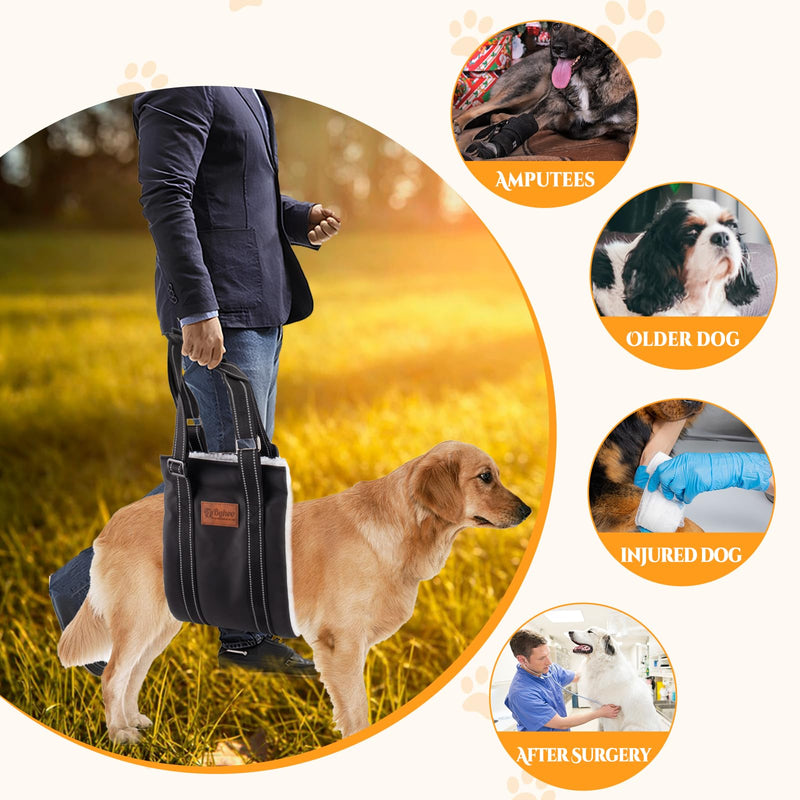 Byhoo Dog Sling with Anti-Slip Dog Socks, Adjustable Dog Lift Harness, Protable Dog Sling for Large Dogs Hind Leg Support,Helps Elderly Dog, Injured, Disabled and After Surgery - BeesActive Australia