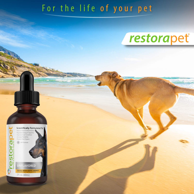 RestoraPet 1-Pack Dog & Cat Beef Liquid Multivitamin | Dog Arthritis Pain Relief | Hip & Joint Vitamins for Dogs - Anti Inflammatory Supplement for Dogs & Cats | Organic & Non-GMO, Vet Approved 1-Pack (2 oz / bottle) - BeesActive Australia