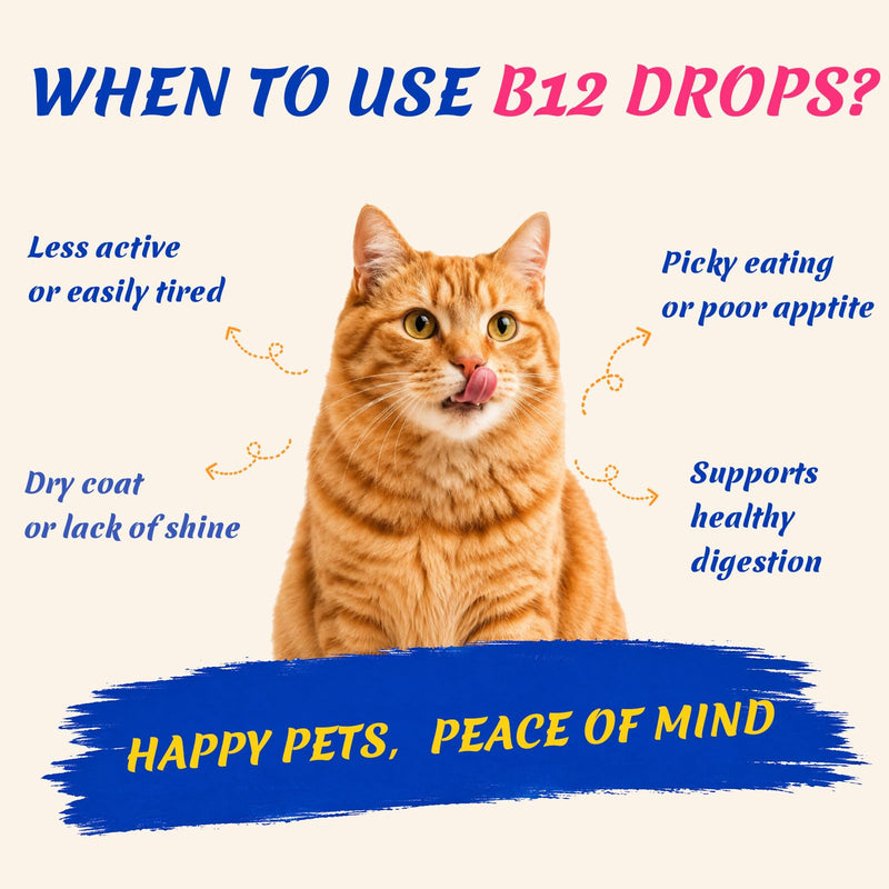 Dog & Cat Appetite Stimulant, Vitamin B12 (Methylcobalamin) Supplement | Energy & Appetite, Immune System Support - 3.5 fl oz