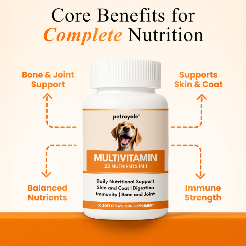 22 in 1 Dog Multivitamin Chews - Taurine Dog Multivitamin & Taurine Supplements for Dog - Dog Vitamins & Supplements for Joints, Skin, Coat & Immunity - Daily Multivitamin (50 Soft Chews) 50 Soft Chews