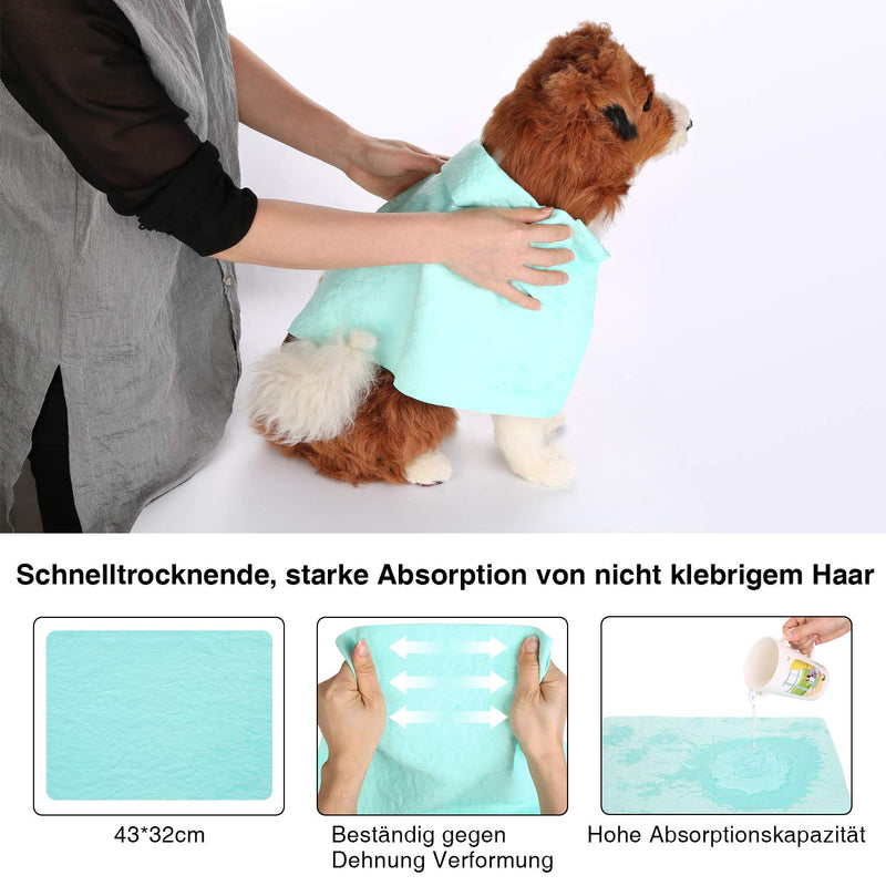 Ownpets dog hair dryer with fur comb, 2 in 1 pet hair dryer brush, dog dryer, temperature adjustable (2 levels 40 or 60℃), animal hair dryer for dogs, cats or other pets, 300W - BeesActive Australia