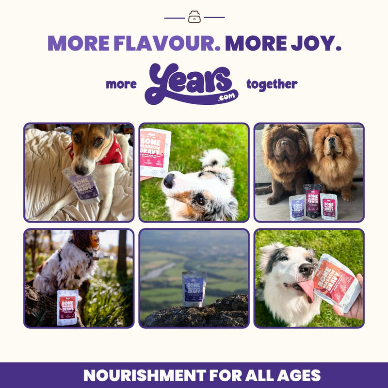 YEARS Organic Dog Gravy Variety Pack | 4 Meaty Flavours | Liquid Concentrate Bone Broth for Dogs | Collagen Rich for Joints & Fussy Eaters - 400ml Ultimate Gravy Pack 100ml