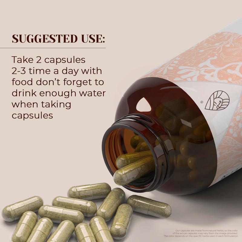 Star Anise USDA Organic 120 Capsules | Natural Organic Supplement | Certified Organic Vegetarian Capsules and Organic Star Anise (Illicium verum) Dried Seed (120 Capsules) 120 Count (Pack of 1)