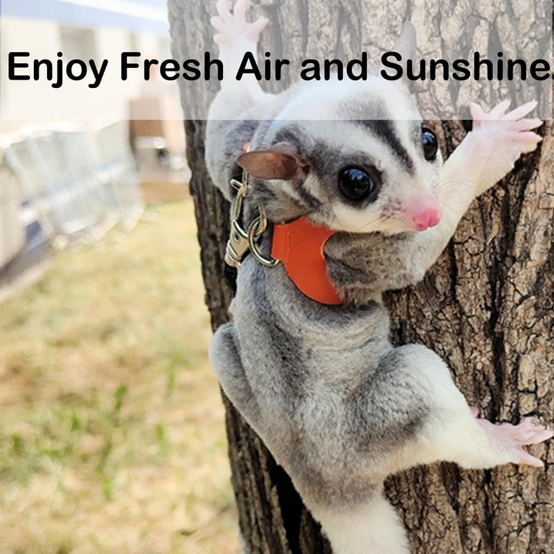 3 Pack Sugar Glider Harness and Leash Set Small Animal Training Walking Vest for Squirrel Hamster Rat-Green Green - BeesActive Australia
