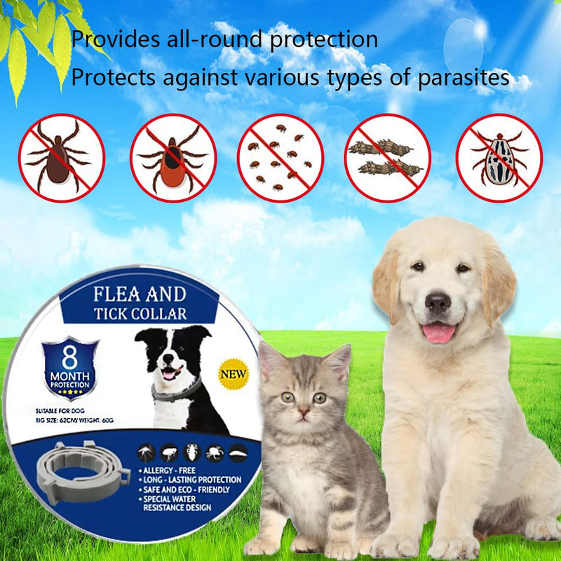 Tick collar for dogs, tick collar for cats, flea collar, adjustable tick collar for dogs and cats, up to 8 months tick protection with 100% natural ingredients - BeesActive Australia