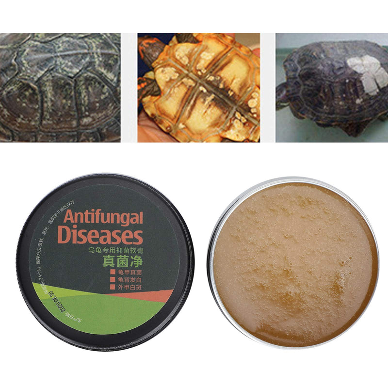 Turtle Shell Saver Moisturizer, Antifungal Turtle Care Shell Cream for Removing Fungus for Removing White Spots for Turtle Shell Saver Conditioner (Mushroom Net) - BeesActive Australia