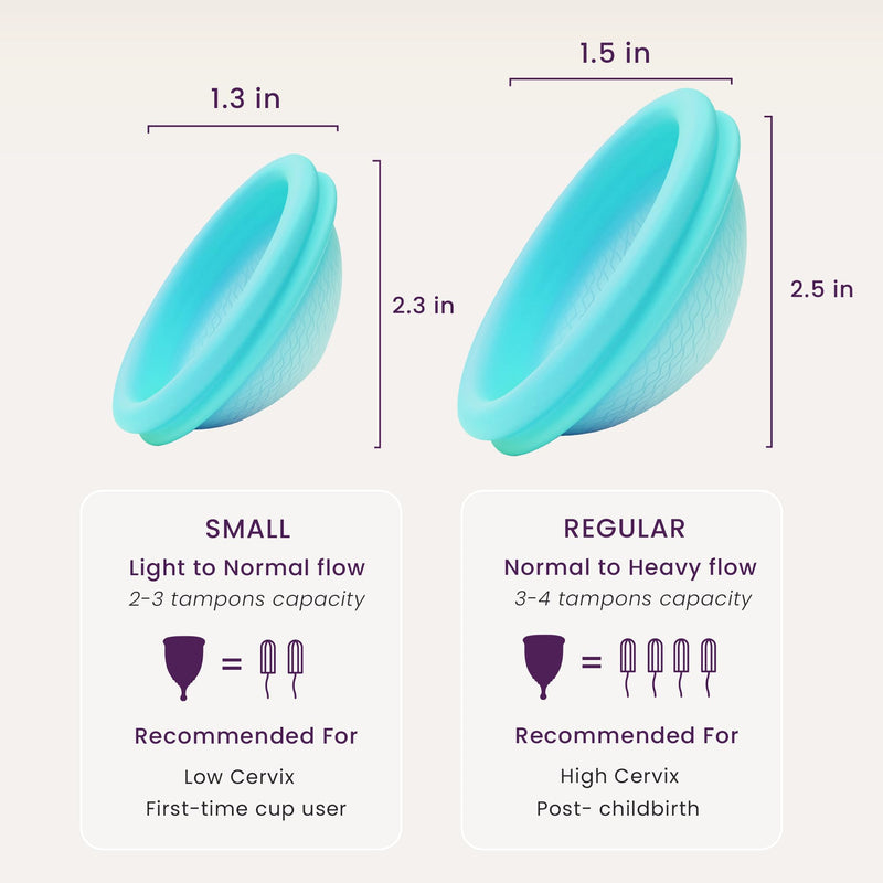 Reusable Period Disc - Soft Period Disc for Women (Small/Large (Teal & Magenta)) Small/Large (Teal & Magenta) - BeesActive Australia