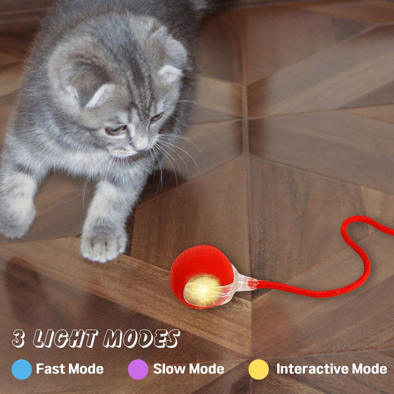 Interactive Rolling Cat Ball, 2025 New Electric Rolling Ball Cat Toy, Interactive Cat Dog Toys Ball,360° Smart Automatic Rolling Pet Ball, Fast Rolling Toy for Dog and Cat Red - BeesActive Australia