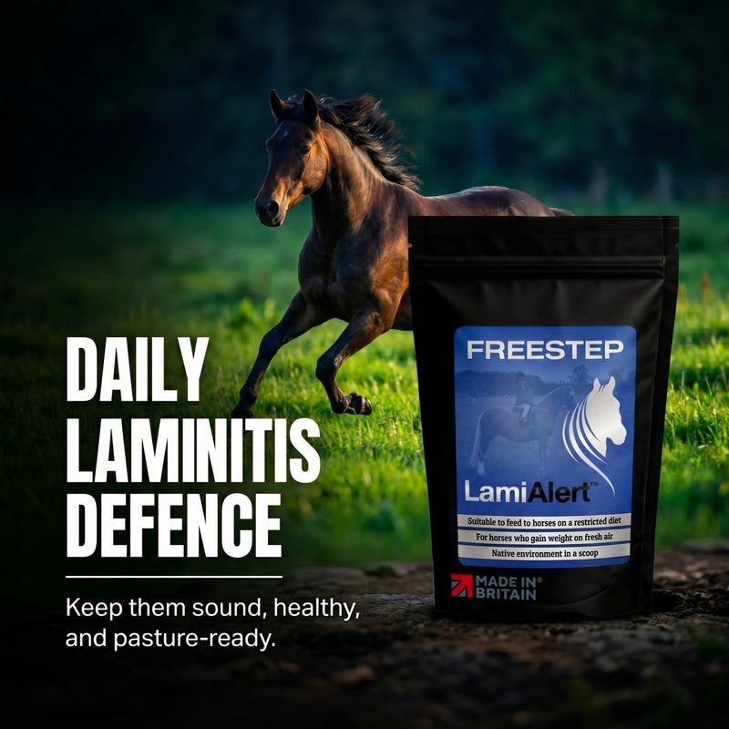 LamiAlert | Horse Supplement Suitable for Laminitis Prone Horses | Magnesium Powder with Chelated Zinc & Copper | Forage Balancer for Good Doers | Molasses Free & Low Sugar 250g | 2 Months Supply