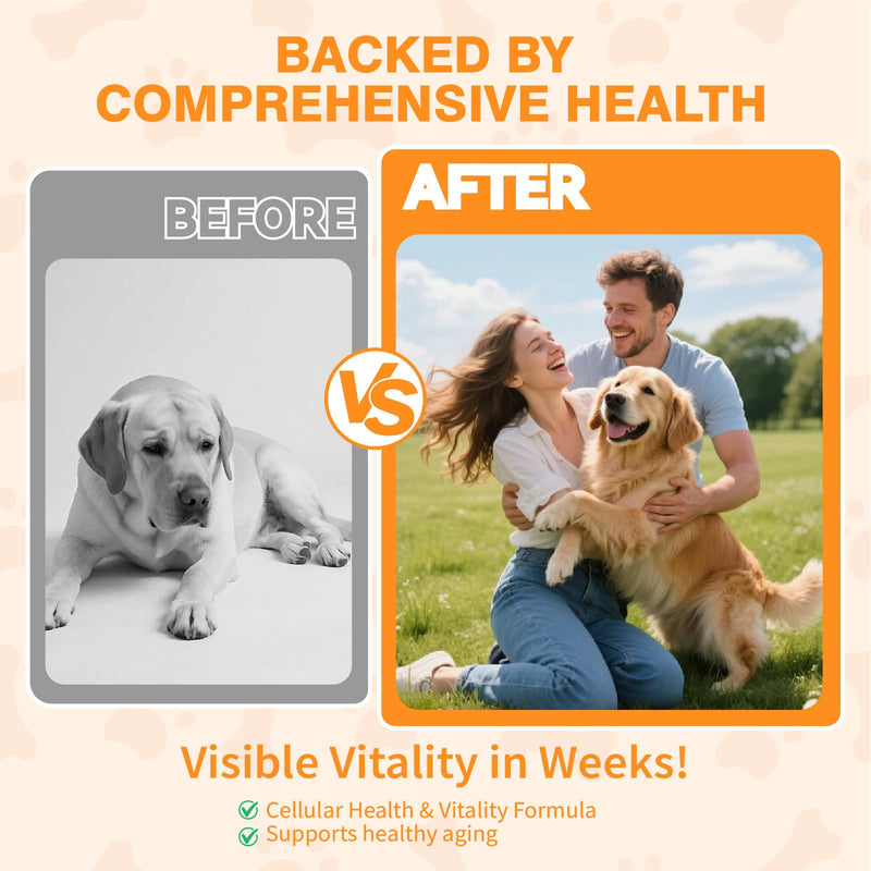 Mature Dog Vitality Drops -Healthy Aging,Cellular Energy & Antioxidant Support with NMN,NAD+ & CoQ10-60ml（2 FL OZ