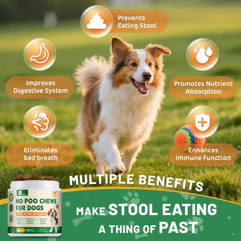 No Poo Chews - Coprophagia Deterrent for Dogs, No Poop Eating Deterrent for Dogs, Stopping Dog from Eating Poop Supplement with Probiotics & Digestive Enzymes, Duck Flavor