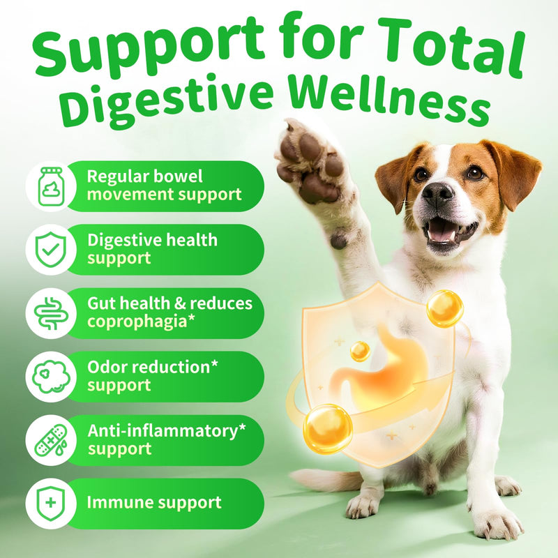Dog Probiotics & Digestive Enzymes – Pumpkin Fiber Chews for Gut Health, Diarrhea & Upset Stomach Relief, Gas & Stool Support, Beef Flavor Soft Chews – 90 Count 90 Count (Pack of 1)