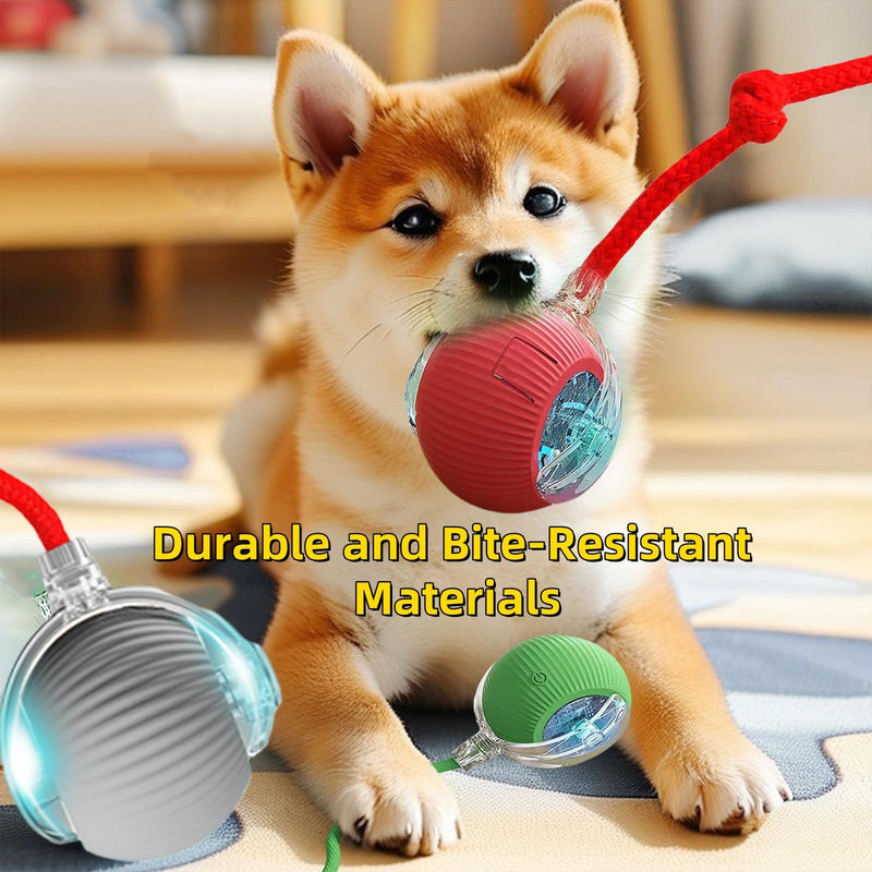 Interactive Dog Cat Toys Ball, Electric Rolling Ball Dog Toy, Automatic Moving Bouncing Toy Ball with Lights, Dog Toys to Keep Them Busy, Peppy Pet Ball for Bored Indoor Cats & Dogs (Red) Red - BeesActive Australia