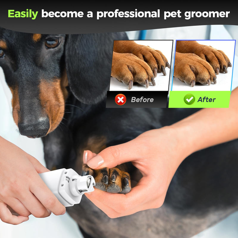 Dog Nail Grinder Quiet - 45db 4 Speed 4 Ports 12000 r/min USB Rechargeable Electric Professional Pet Dog Nail Trimmers with LED Lights for Large Medium Small Puppy Dogs/Cats - White - BeesActive Australia