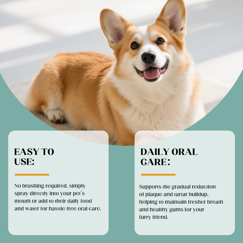 Denta Spray for Dogs & Cats, 2PCS Paw Dental Sprays, Dog Denta Spray Natural Breath Freshener, No-Brush Oral Care, Daily Denta Hygiene