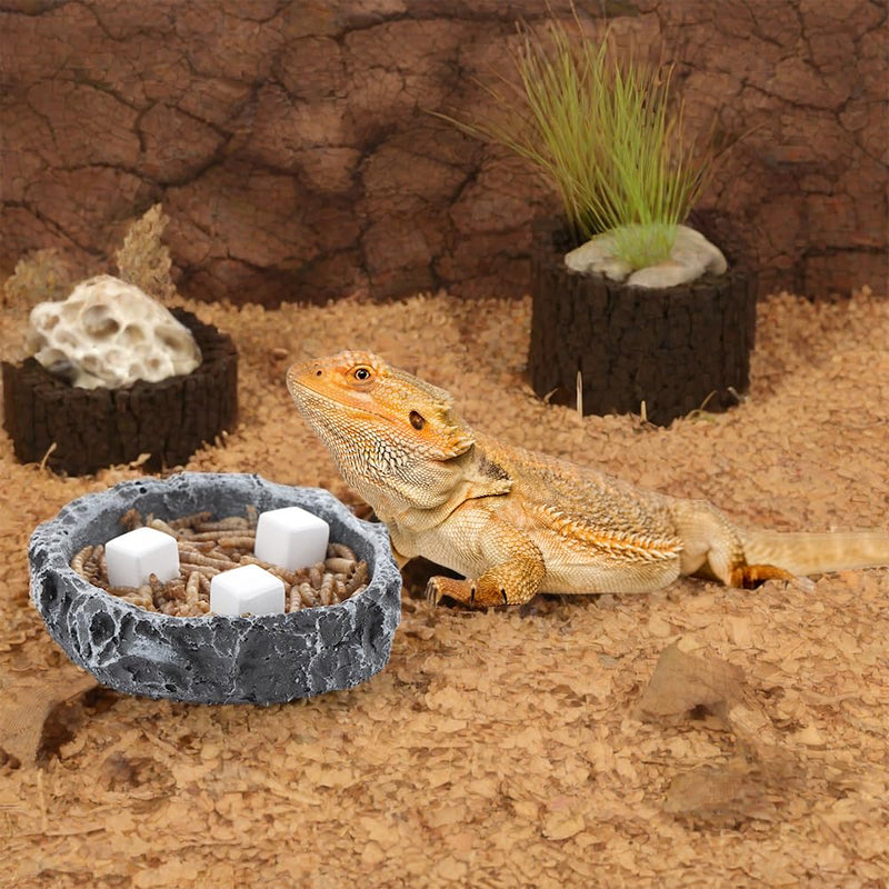 DQITJ 24 Pcs Reptile Calcium Stone Natural Calcium Mineral for Turtle Tortoise Lizard Frog Chameleon Reptiles - PawsPlanet Australia