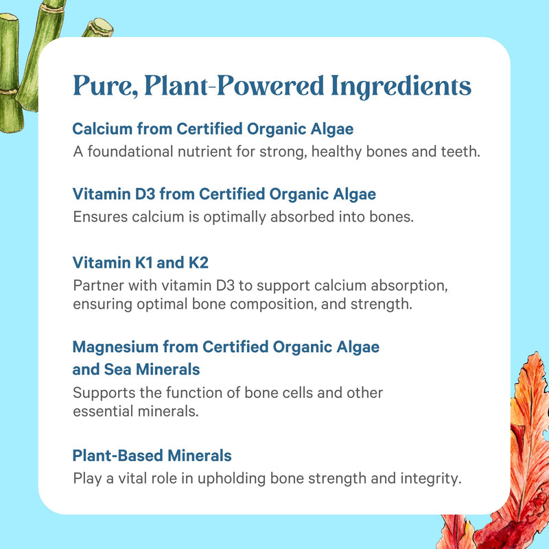 PURE SYNERGY Bone Renewal Bone Supplement (150 Capsules) | Bioavailable Calcium with Cofactors, Natural & Vegan with Vitamin D3, K2, Magnesium, & Boron, For Lasting Bone Strength 150 Count (Pack of 1)