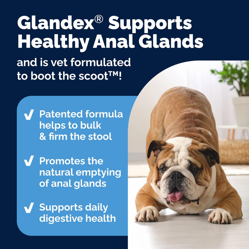 Vetnique Glandex for Dogs Prebiotic & Probiotic Supplement Chews 60 Count Bacon Flavor Plus Glandex Anal Gland Support Chews 60 Count Peanut Butter Flavor, 5-Strain Probiotics for Dogs Bundle