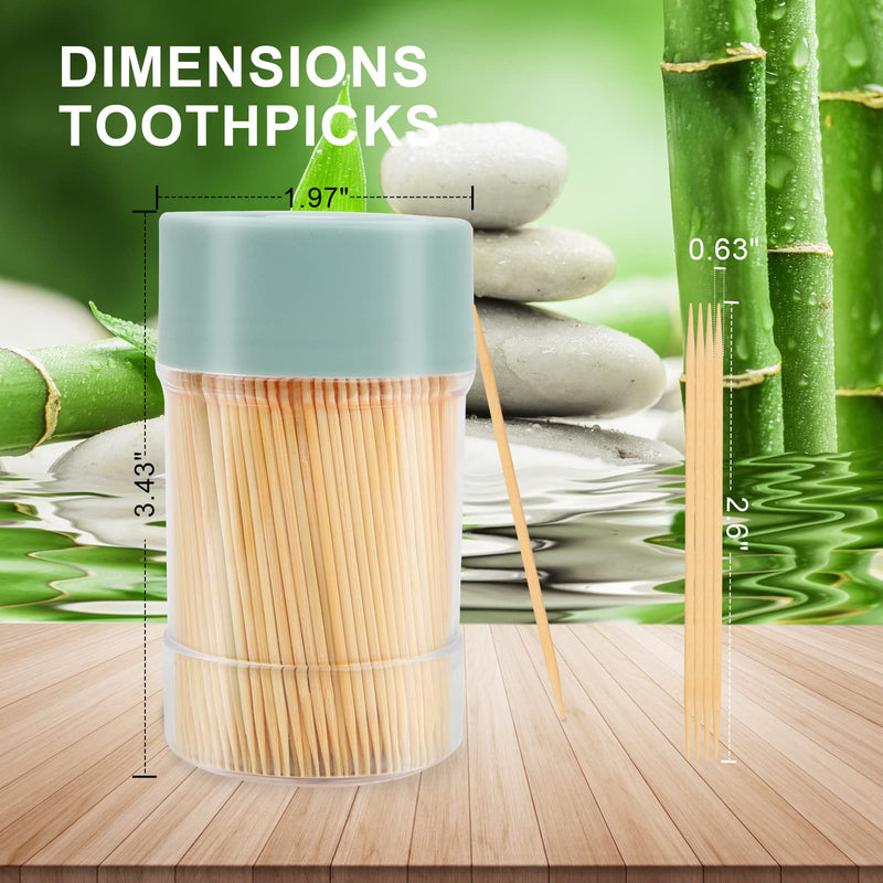 Bamboo Toothpicks [3000 Count] - With Reusable Toothpick Holder, Sturdy Smooth Finish Tooth Picks, for Party, Appetizer, Olive, Barbecue, Fruit and Teeth Cleaning, Green. - BeesActive Australia