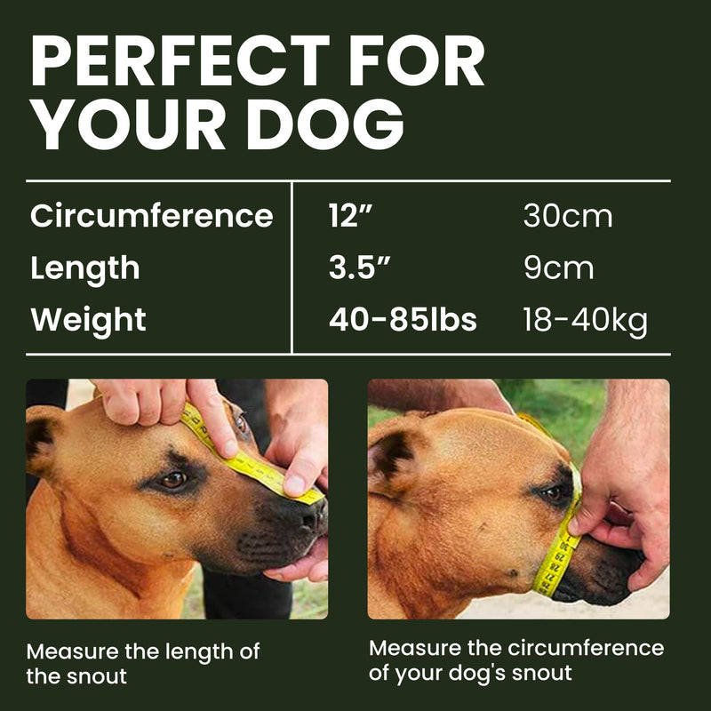 BRONZEDOG Pitbull Dog Muzzle Breathable Metal Basket for Large Dogs Amstaff Staffordshire Terrier Biting Chewing Barking Nylon (Pink, One Size) Pink - BeesActive Australia