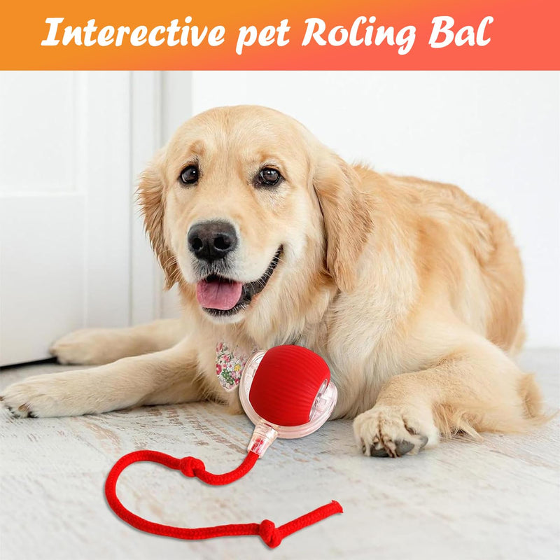 3pcs Interactive Rolling Dog Ball Interactive Dog Toys Electric Dog Ball Toy Rolling Dog Ball Cat Toys 360° Smart Automatic Rolling Ball Toy for Indoor Dogs/Cats（Red+Green+Gray） 3pc-Green+Red+Grey