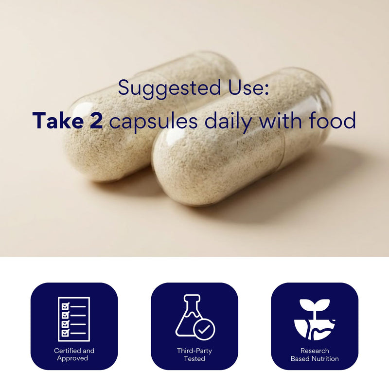 Research Verified Brain Booster - Brain Supplement for Memory and Focus, Nootropic Supplement for Cognitive Support - 60 Vegan Capsules - 1 Month Supply | Brain Health Supplement, Nootropic, Brain Fog, Cognitive Support for Professionals, Students, Gam...