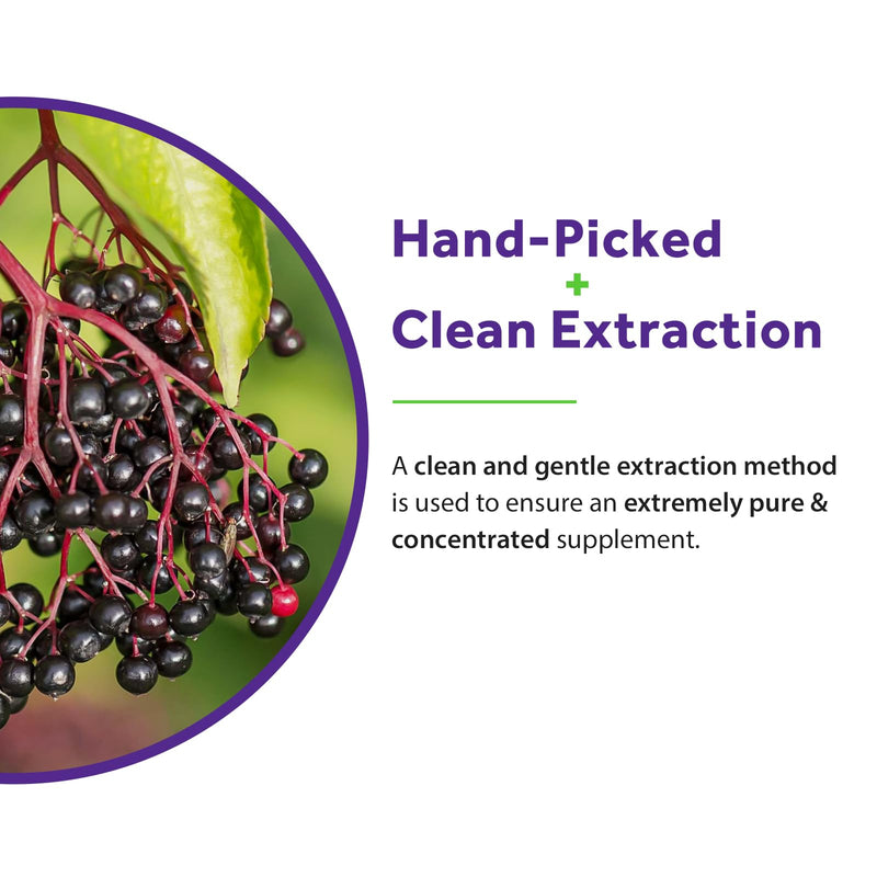 Doctor's Recipes Elderberry Extract, with Vitamin C and Zinc, Extra Strength, Super Concentrated Sambucus Extract, for Immune Support, Vegan, 90 Capsules, Non-GMO