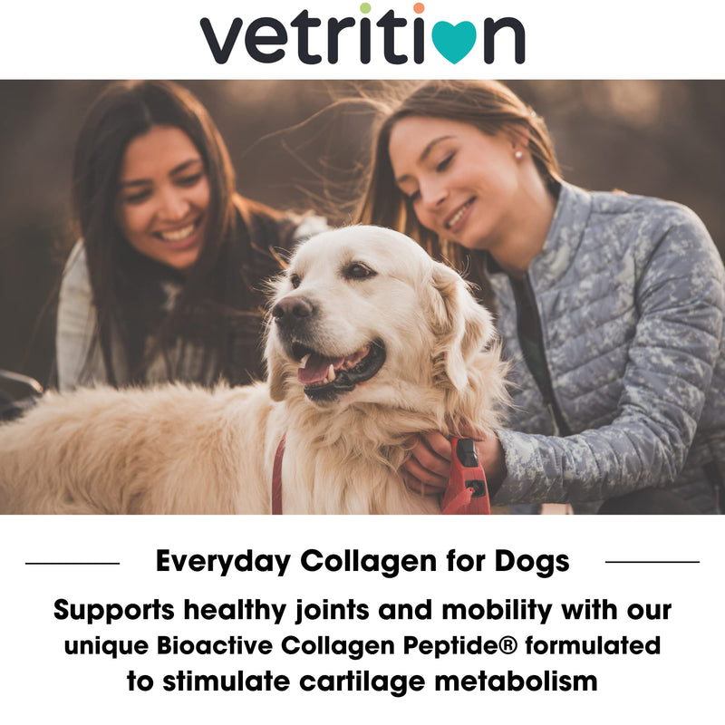 Collagen Powder for Dogs, Vet Approved Hydrolysed Collagen Peptides Supplement for Joints, Skin, Coat, Health, Bioactive Protein Rich Powder for All Ages, Breeds, Sizes Dogs, 150g