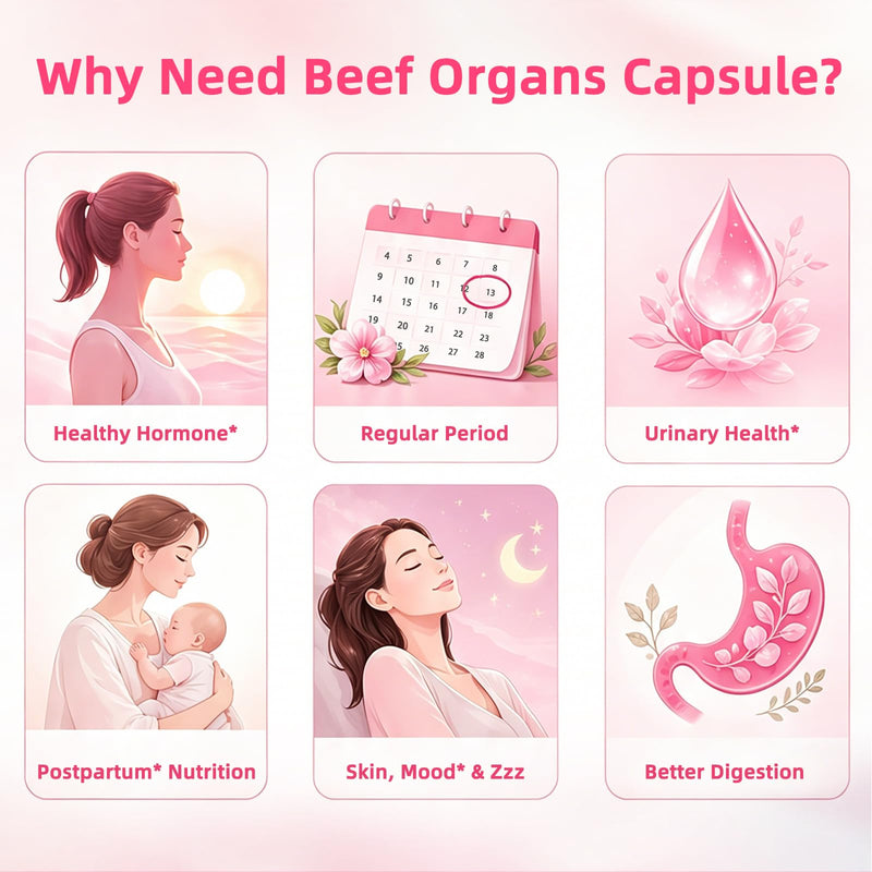 Beef Organ Supplement for Women - Grass-Fed Beef Liver, Uterus, Kidney, Heart & Pancreas with 5 Vitamins & 2 Herbs - Supports Hormone Balance, Energy & Immune - Pasture Raised - 120 Capsules