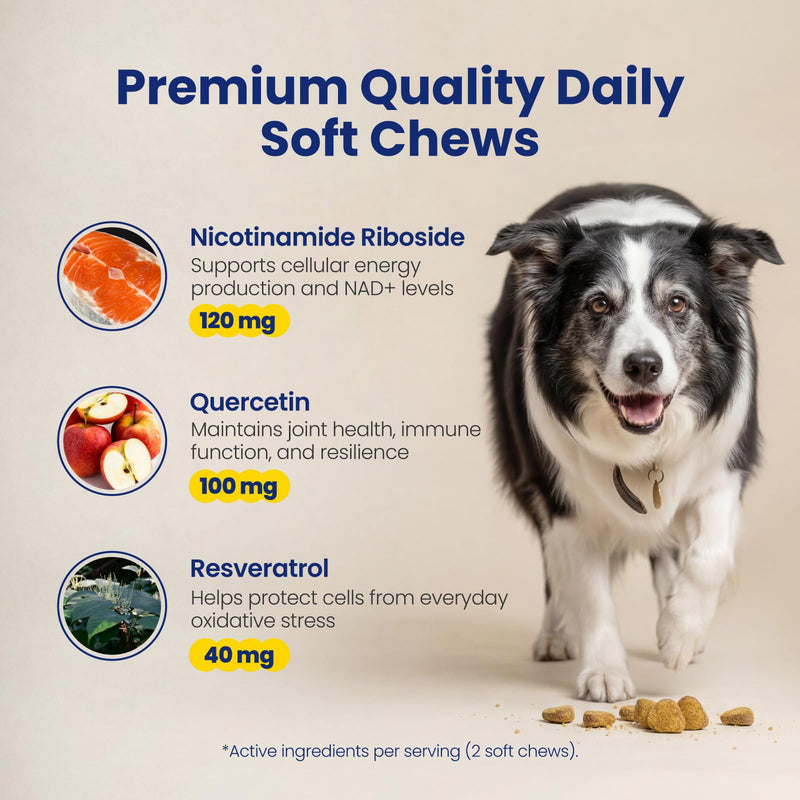 NAD+ Precursor & Senior Dog Supplement - 90 Soft Chews - NMN Alternative for Longevity & Healthy Aging - Nicotinamide Riboside, Resveratrol, Quercetin, Made with Pasture-Raised Chicken Peanut Butter & Chicken