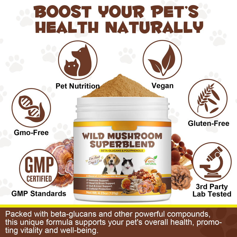 Mushroom Supplement Powder for Dogs & Cats, 11 Mushroom Powder Blend Natural Dog Digestive & Immune Support Chaga, Reishi, Lion's Mane, Turkey Tail, Bacon Flavor 120g.