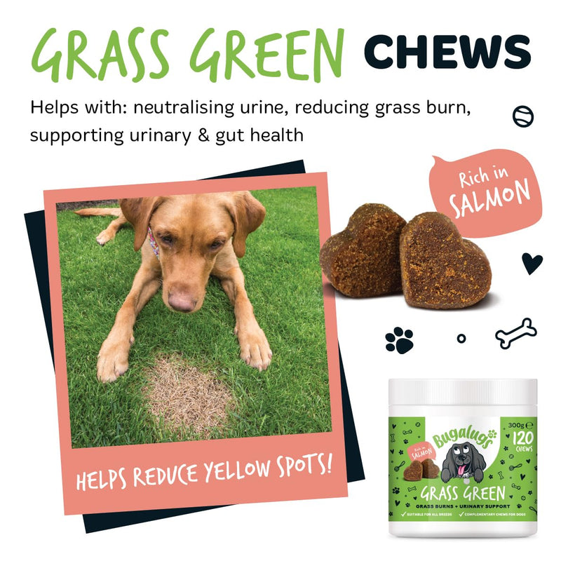 Bugalugs Grass Green Dog Supplement Chews helps support Dog Urine Neutraliser for Grass Burn with Cranberry that helps Urinary & Gut Health, Rich in Salmon, 120 Chews 300g (Pack of 1)
