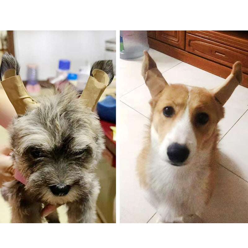 Ejoyous Dog Ear Posting Kit, 1 Pair Dog Ear Support Patch Dog Ears Stand Sticker Ear Fixed Correction Vertical Holder for Corgi Small Doberman (5 * 2.5cm) 5*2.5cm - PawsPlanet Australia