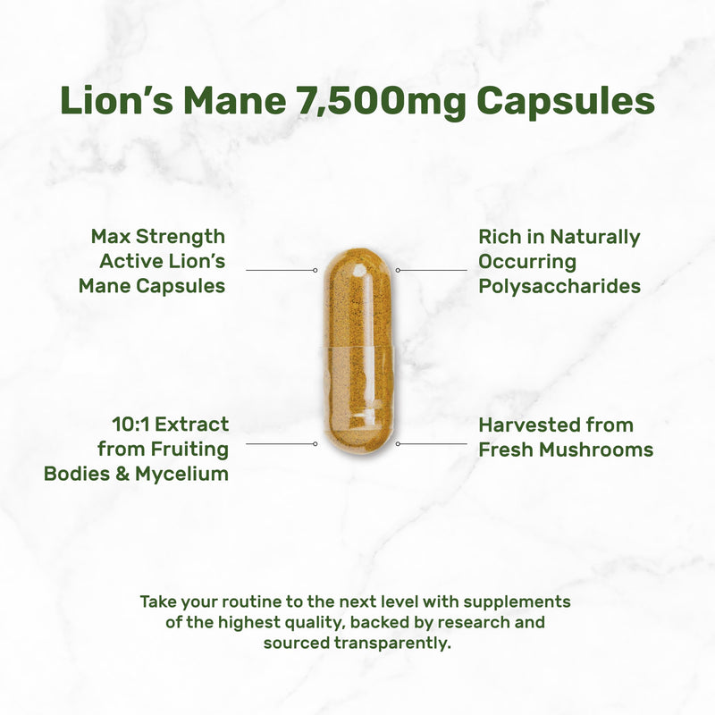 Lions Mane Mushroom Supplement, 240* Capsules – Active Fruiting Body & Mycelium Extract – Natural Brain Nootropic & Immune System Booster – Non-GMO